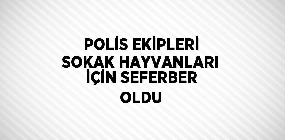 POLİS EKİPLERİ SOKAK HAYVANLARI İÇİN SEFERBER OLDU