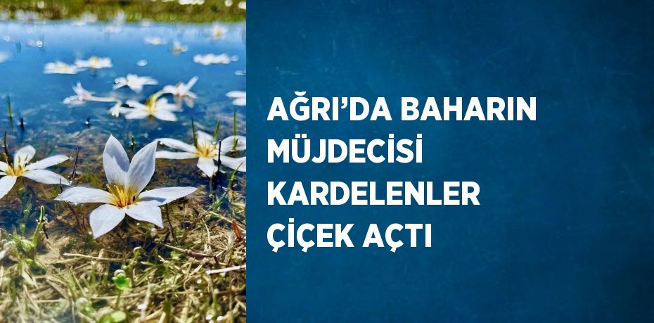 AĞRI’DA BAHARIN MÜJDECİSİ KARDELENLER ÇİÇEK AÇTI