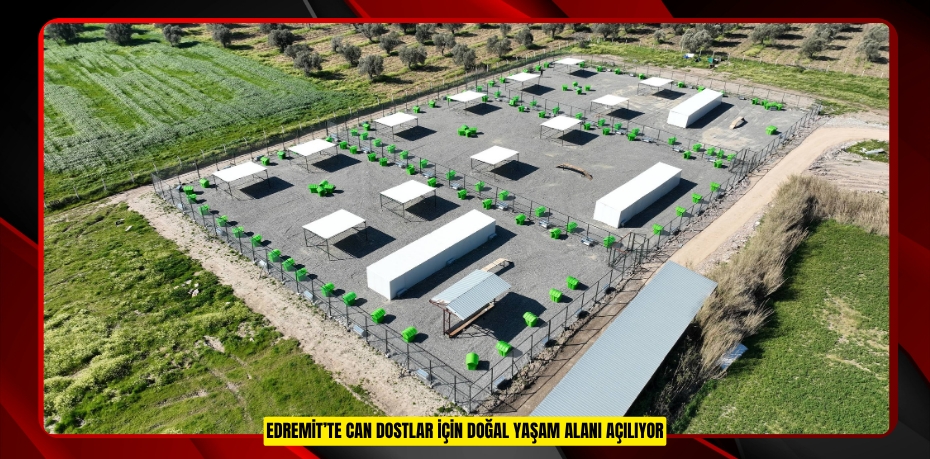 EDREMİT’TE CAN DOSTLAR İÇİN DOĞAL YAŞAM ALANI AÇILIYOR