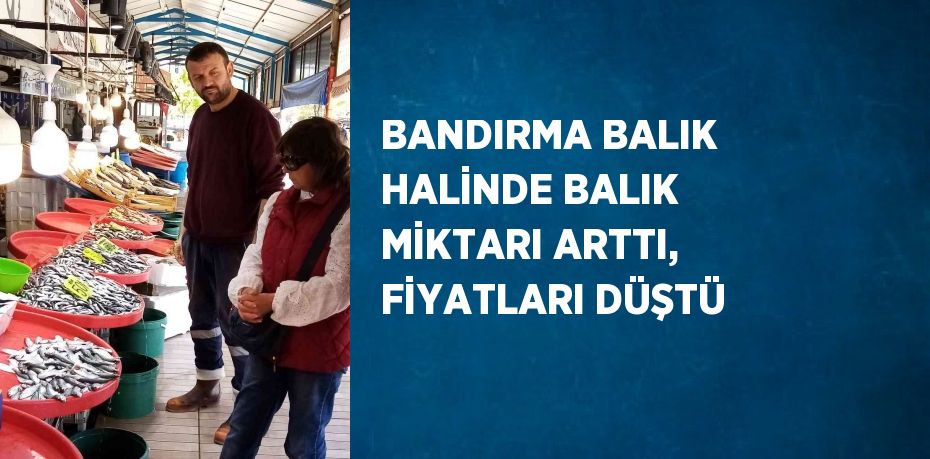 BANDIRMA BALIK HALİNDE BALIK MİKTARI ARTTI, FİYATLARI DÜŞTÜ