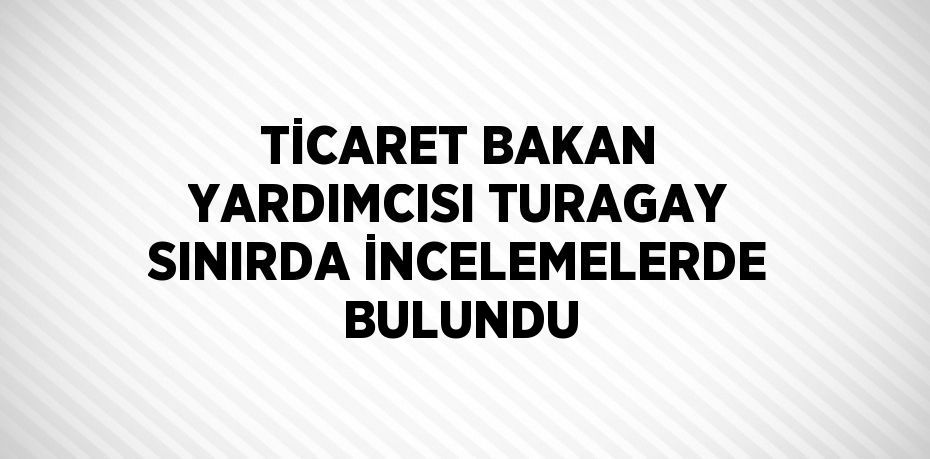 TİCARET BAKAN YARDIMCISI TURAGAY SINIRDA İNCELEMELERDE BULUNDU