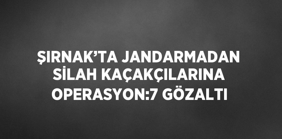 ŞIRNAK’TA JANDARMADAN SİLAH KAÇAKÇILARINA OPERASYON:7 GÖZALTI