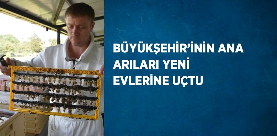 BÜYÜKŞEHİR’İNİN ANA ARILARI YENİ EVLERİNE UÇTU