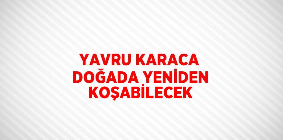 YAVRU KARACA DOĞADA YENİDEN KOŞABİLECEK