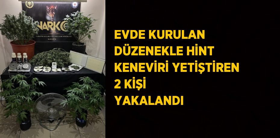 EVDE KURULAN DÜZENEKLE HİNT KENEVİRİ YETİŞTİREN 2 KİŞİ YAKALANDI