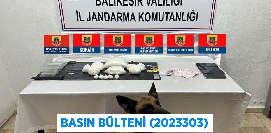 Basın Bülteni (2023303)