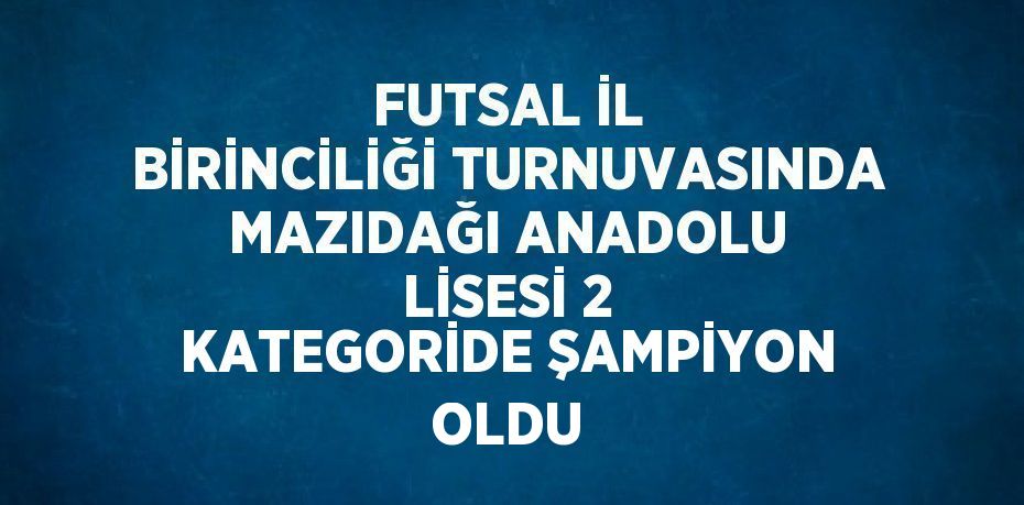 FUTSAL İL BİRİNCİLİĞİ TURNUVASINDA MAZIDAĞI ANADOLU LİSESİ 2 KATEGORİDE ŞAMPİYON OLDU