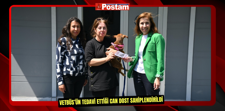 VETBÜS’ün tedavi ettiği can dost sahiplendirildi