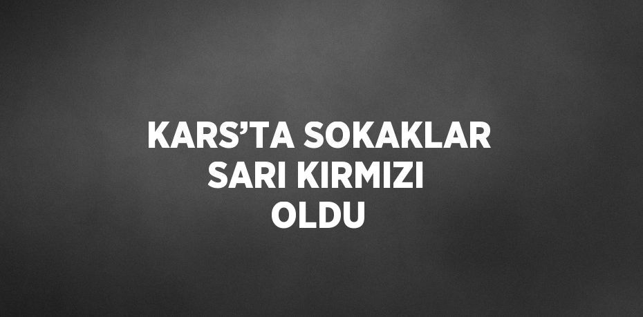 KARS’TA SOKAKLAR SARI KIRMIZI OLDU