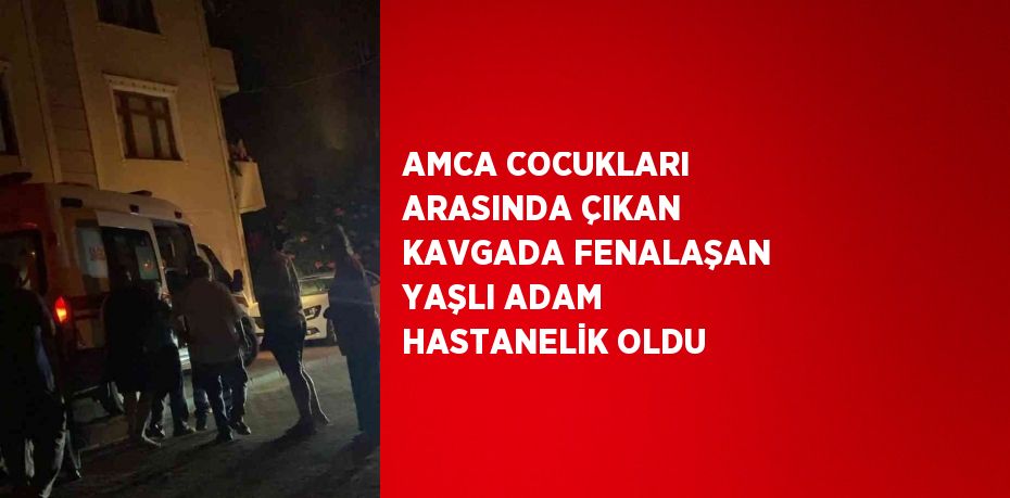 AMCA COCUKLARI ARASINDA ÇIKAN KAVGADA FENALAŞAN YAŞLI ADAM HASTANELİK OLDU