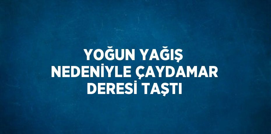 YOĞUN YAĞIŞ NEDENİYLE ÇAYDAMAR DERESİ TAŞTI