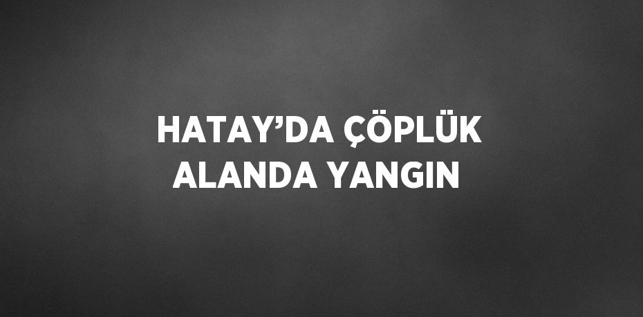 HATAY’DA ÇÖPLÜK ALANDA YANGIN