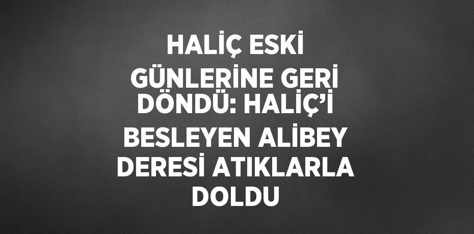 HALİÇ ESKİ GÜNLERİNE GERİ DÖNDÜ: HALİÇ’İ BESLEYEN ALİBEY DERESİ ATIKLARLA DOLDU