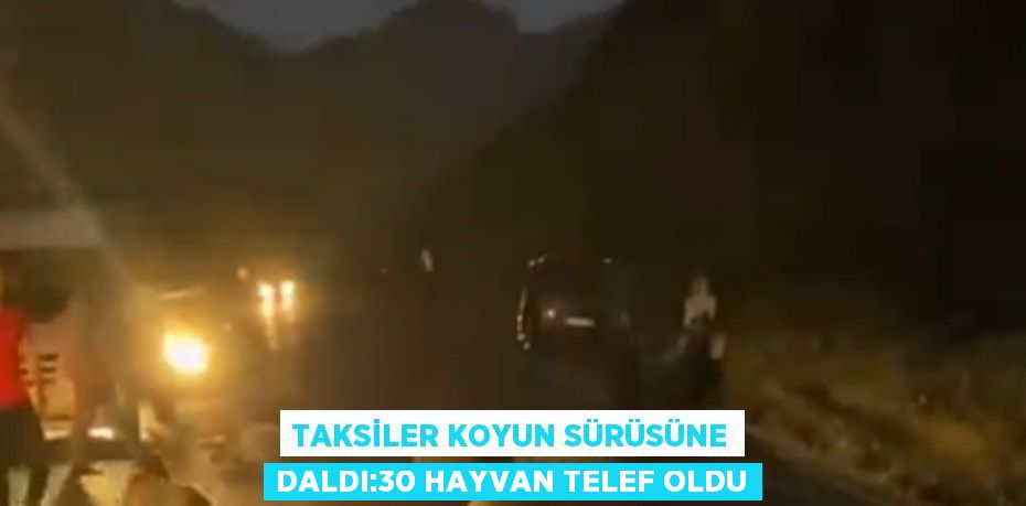 TAKSİLER KOYUN SÜRÜSÜNE DALDI:30 HAYVAN TELEF OLDU