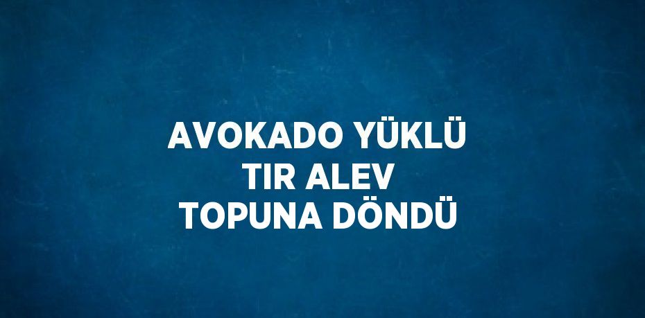 AVOKADO YÜKLÜ TIR ALEV TOPUNA DÖNDÜ