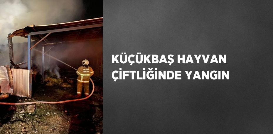 KÜÇÜKBAŞ HAYVAN ÇİFTLİĞİNDE YANGIN