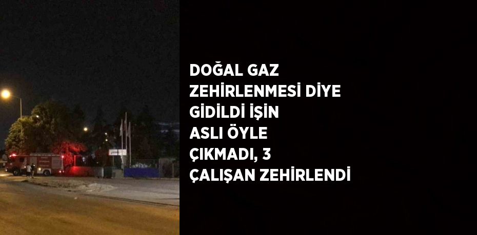 DOĞAL GAZ ZEHİRLENMESİ DİYE GİDİLDİ İŞİN ASLI ÖYLE ÇIKMADI, 3 ÇALIŞAN ZEHİRLENDİ