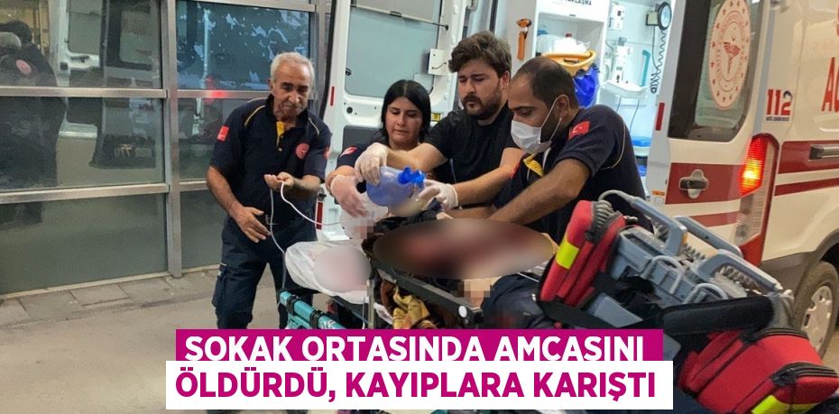 SOKAK ORTASINDA AMCASINI ÖLDÜRDÜ, KAYIPLARA KARIŞTI