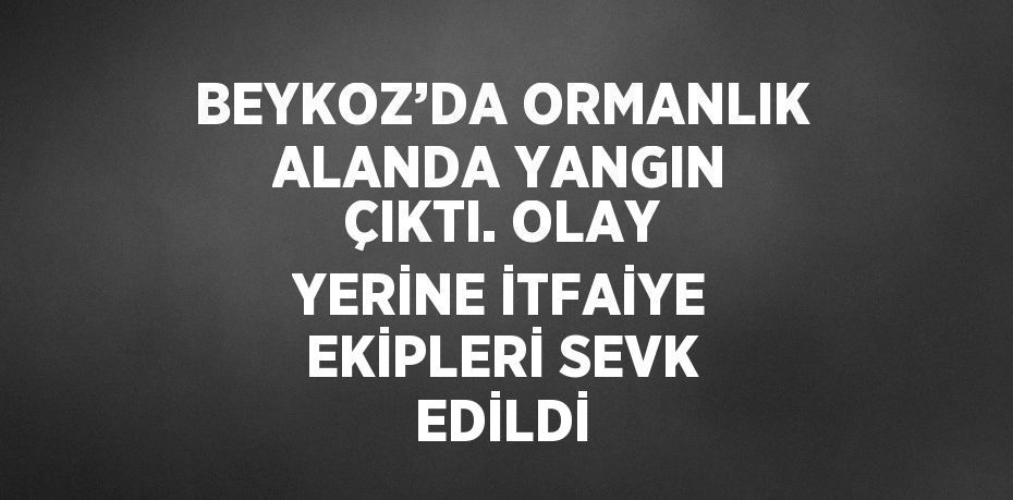 BEYKOZ’DA ORMANLIK ALANDA YANGIN ÇIKTI. OLAY YERİNE İTFAİYE EKİPLERİ SEVK EDİLDİ