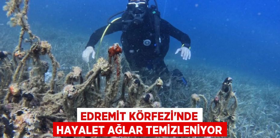 Edremit Körfezi'nde hayalet ağlar temizleniyor