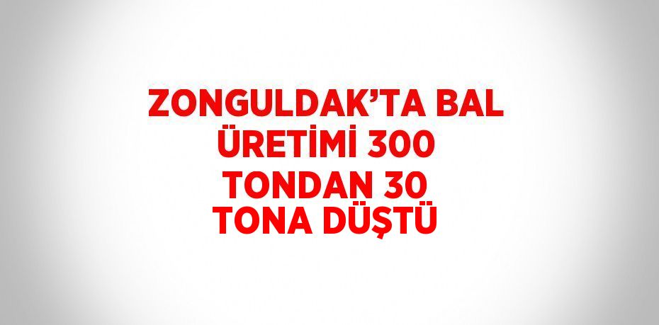 ZONGULDAK’TA BAL ÜRETİMİ 300 TONDAN 30 TONA DÜŞTÜ