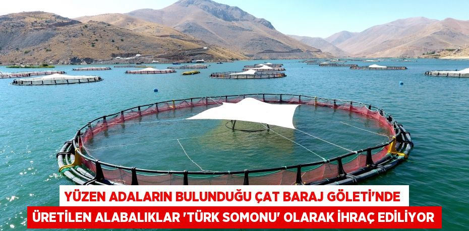 Yüzen adaların bulunduğu Çat Baraj Göleti’nde üretilen alabalıklar ‘Türk somonu’ olarak ihraç ediliyor