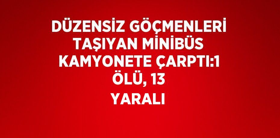 DÜZENSİZ GÖÇMENLERİ TAŞIYAN MİNİBÜS KAMYONETE ÇARPTI:1 ÖLÜ, 13 YARALI