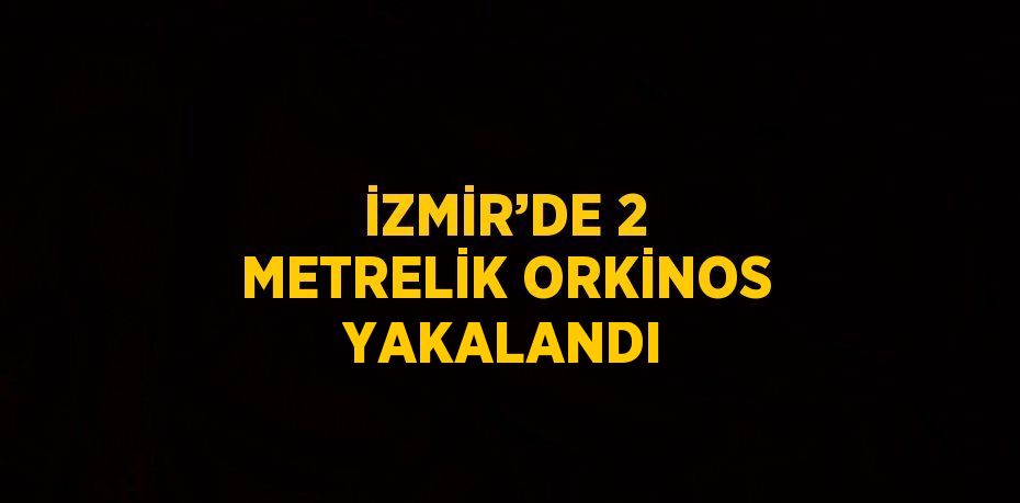 İZMİR’DE 2 METRELİK ORKİNOS YAKALANDI