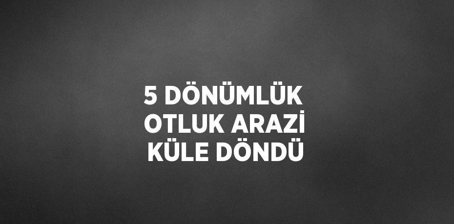 5 DÖNÜMLÜK OTLUK ARAZİ KÜLE DÖNDÜ