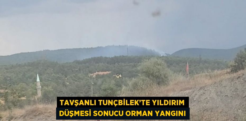 TAVŞANLI TUNÇBİLEK’TE YILDIRIM DÜŞMESİ SONUCU ORMAN YANGINI