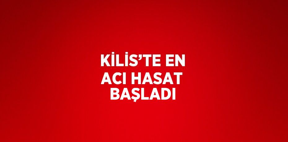 KİLİS’TE EN ACI HASAT BAŞLADI