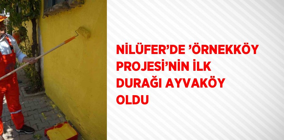 NİLÜFER’DE ’ÖRNEKKÖY PROJESİ’NİN İLK DURAĞI AYVAKÖY OLDU