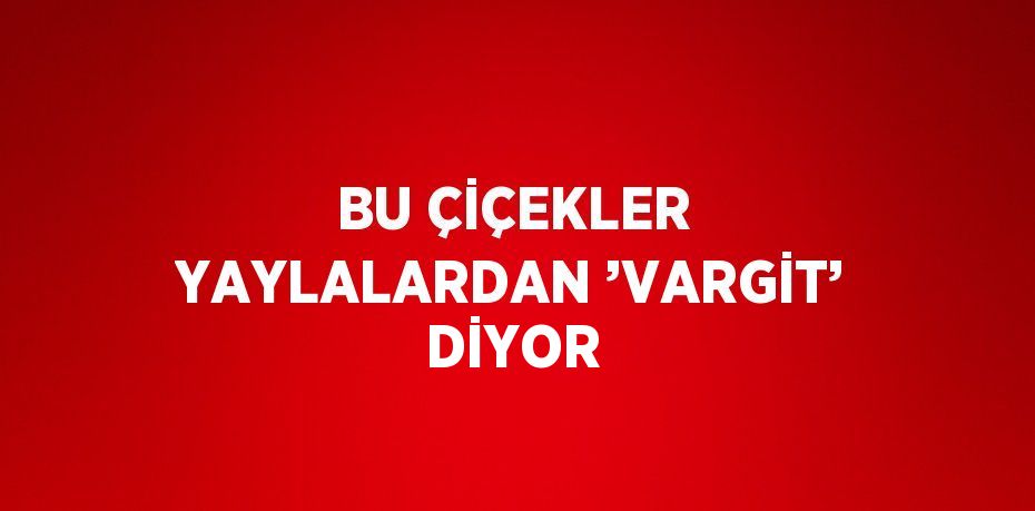 BU ÇİÇEKLER YAYLALARDAN ’VARGİT’ DİYOR