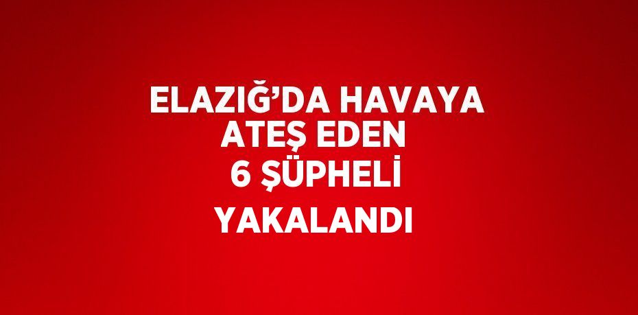 ELAZIĞ’DA HAVAYA ATEŞ EDEN 6 ŞÜPHELİ YAKALANDI