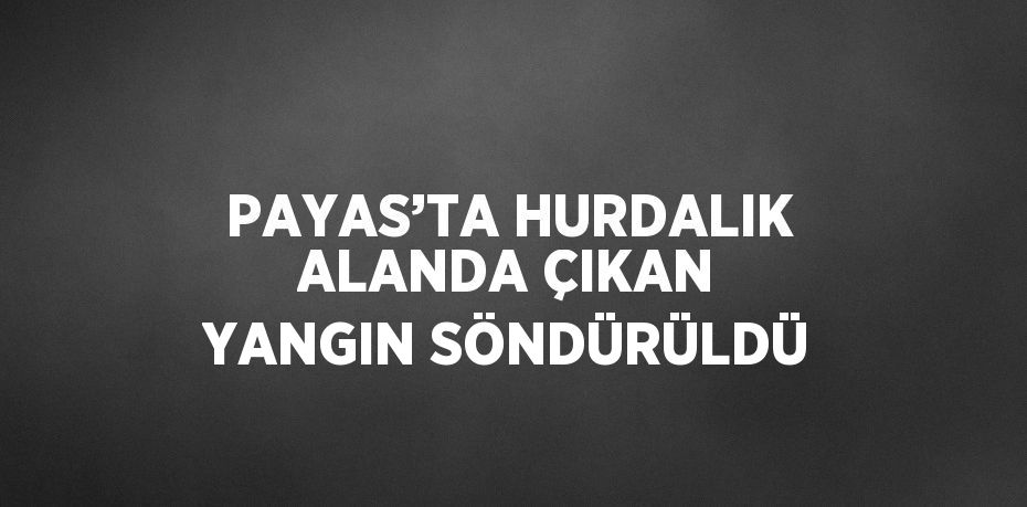 PAYAS’TA HURDALIK ALANDA ÇIKAN YANGIN SÖNDÜRÜLDÜ