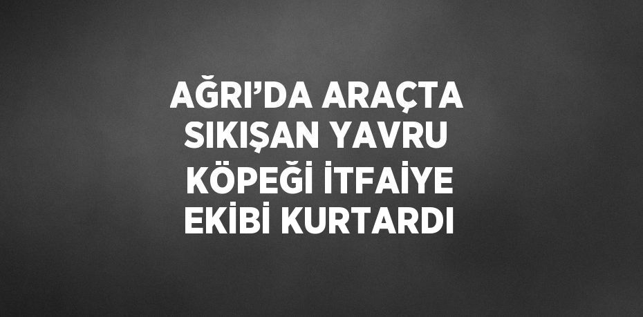 AĞRI’DA ARAÇTA SIKIŞAN YAVRU KÖPEĞİ İTFAİYE EKİBİ KURTARDI