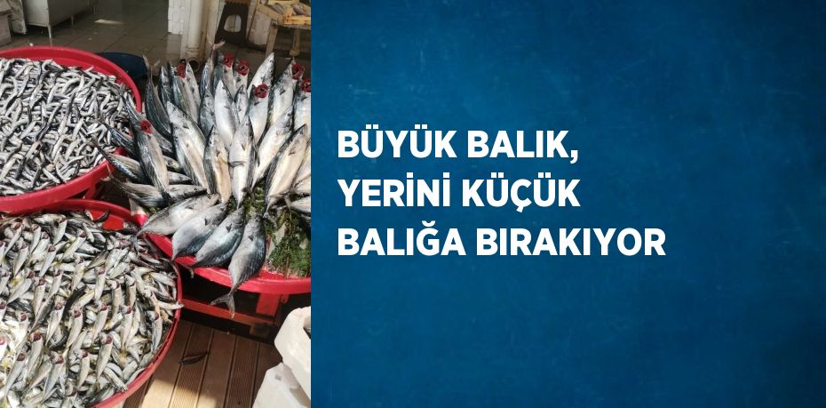 BÜYÜK BALIK, YERİNİ KÜÇÜK BALIĞA BIRAKIYOR