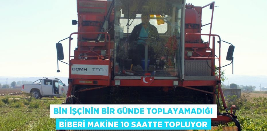 Bin işçinin bir günde toplayamadığı biberi makine 10 saatte topluyor