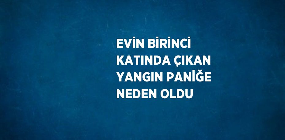 EVİN BİRİNCİ KATINDA ÇIKAN YANGIN PANİĞE NEDEN OLDU