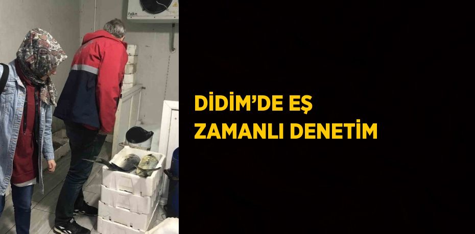 DİDİM’DE EŞ ZAMANLI DENETİM