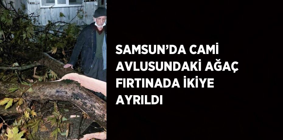 SAMSUN’DA CAMİ AVLUSUNDAKİ AĞAÇ FIRTINADA İKİYE AYRILDI