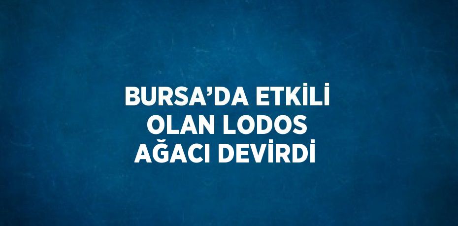 BURSA’DA ETKİLİ OLAN LODOS AĞACI DEVİRDİ