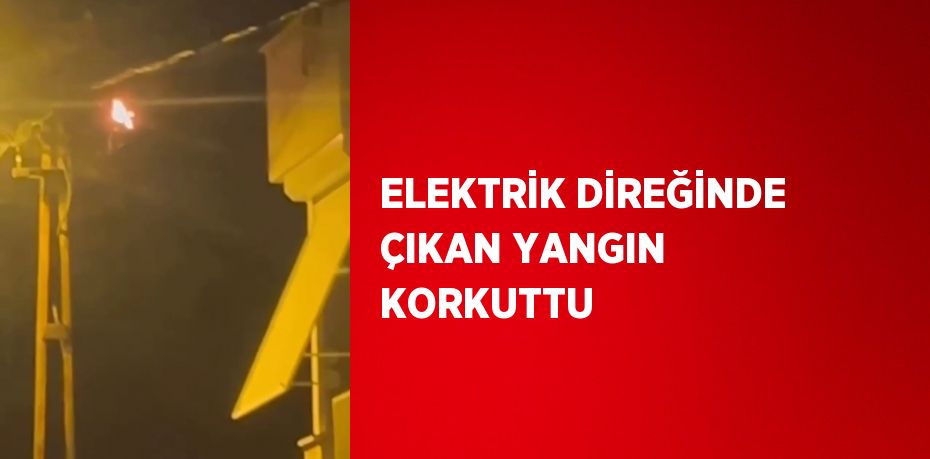 ELEKTRİK DİREĞİNDE ÇIKAN YANGIN KORKUTTU