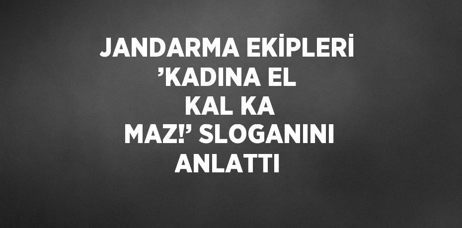 JANDARMA EKİPLERİ ’KADINA EL KAL KA MAZ!’ SLOGANINI ANLATTI