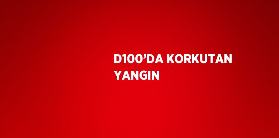 D100’DA KORKUTAN YANGIN