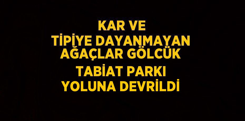 KAR VE TİPİYE DAYANMAYAN AĞAÇLAR GÖLCÜK TABİAT PARKI YOLUNA DEVRİLDİ