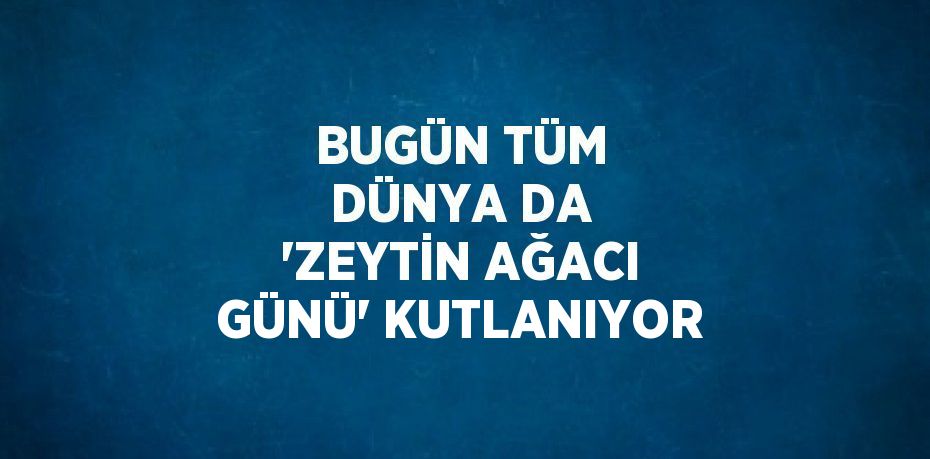 BUGÜN TÜM DÜNYA DA 'ZEYTİN AĞACI GÜNÜ' KUTLANIYOR