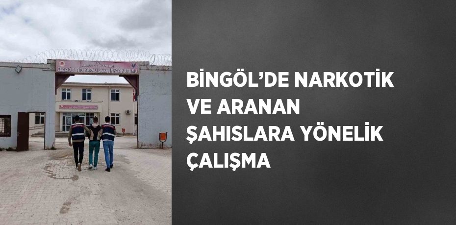 BİNGÖL’DE NARKOTİK VE ARANAN ŞAHISLARA YÖNELİK ÇALIŞMA