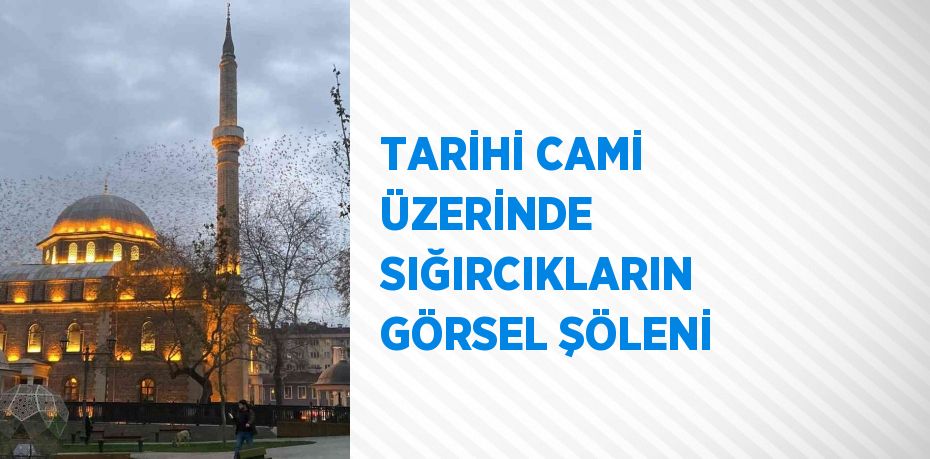 TARİHİ CAMİ ÜZERİNDE SIĞIRCIKLARIN GÖRSEL ŞÖLENİ