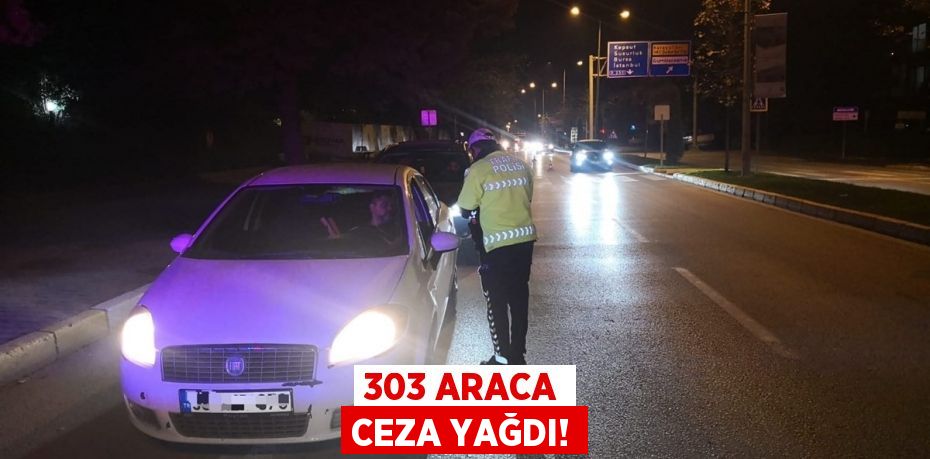 303 ARACA CEZA YAĞDI!